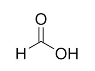 甲酸